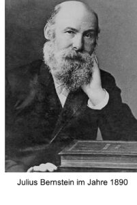 Prof. Dr. med. Julius Bernstein (1839 – 1919)